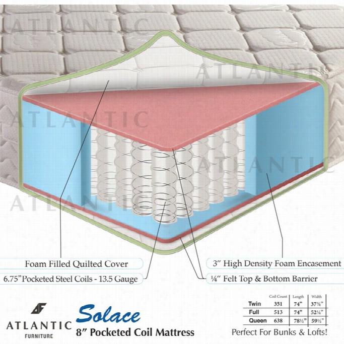 Atlantic Furniture Solace 8 Pocketed Convolution Queen Mattress