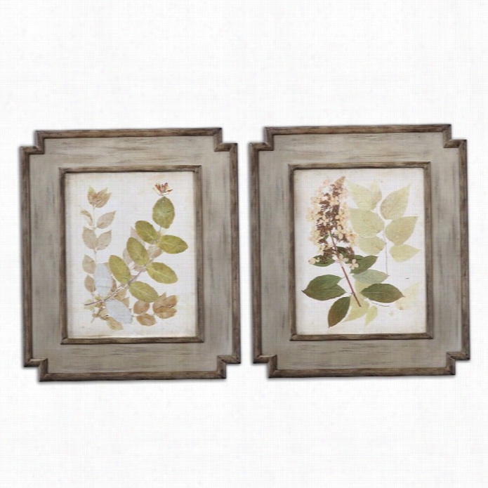 Uttermost Natures Collage Floral Wood Framed  Art (set Of 2)