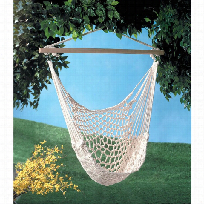 Zingz And Thingz Hammock Chair