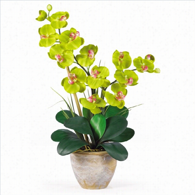 Nearly Natural Double Phalaenopsis Silk Orchid Flower Arrangement In Green