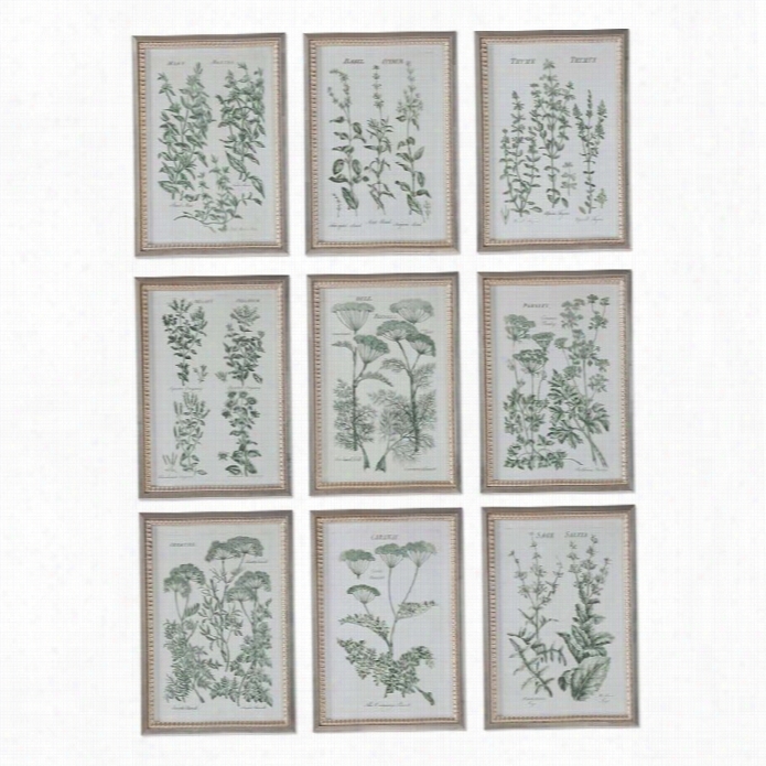Uttermost Herb Garden Prints (set Of 9)