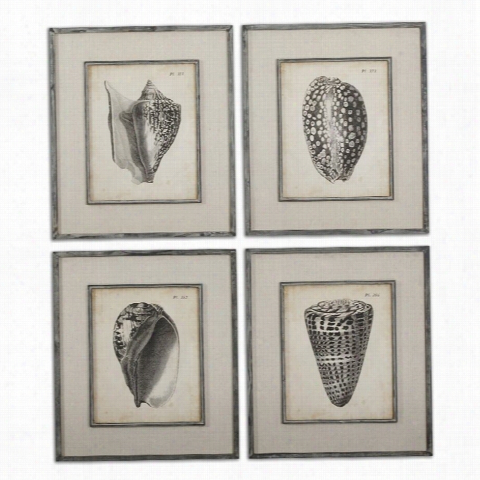 Uttermost  Vintage Diderot Shells Framed Art (set Of 4)