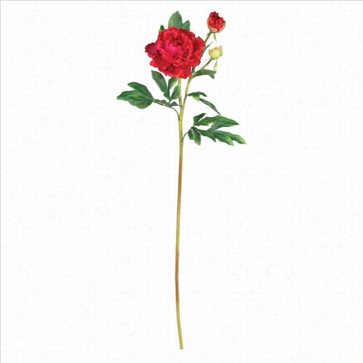 Nearly N Atural 3.85 Peony With Leavees Stem  In Red (set Of 12)