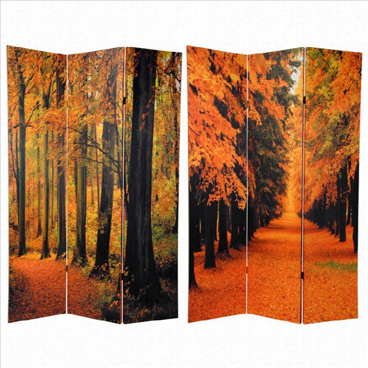 Orienttal Double Sided Autumn Trees Room Divider In Orange