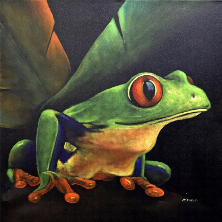 Renwil Red-eye Tree Frog I Wall Art