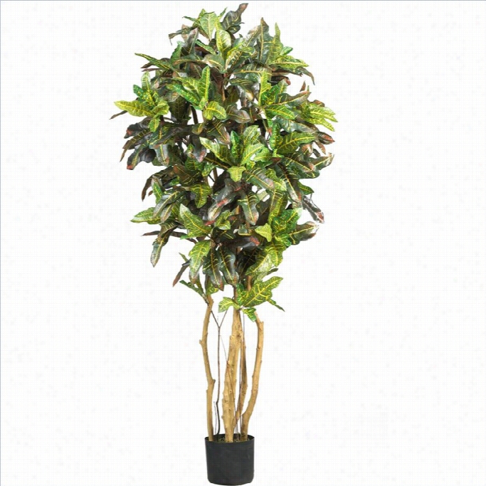 Nearly   Natural 5' Croton Silk Tree In Green