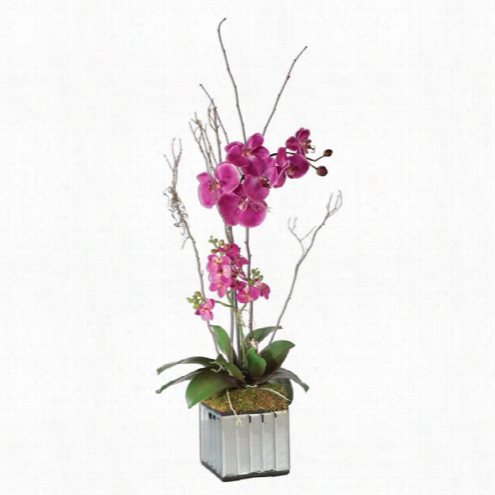 Uttermost Fuchsia Kaleama Orchids