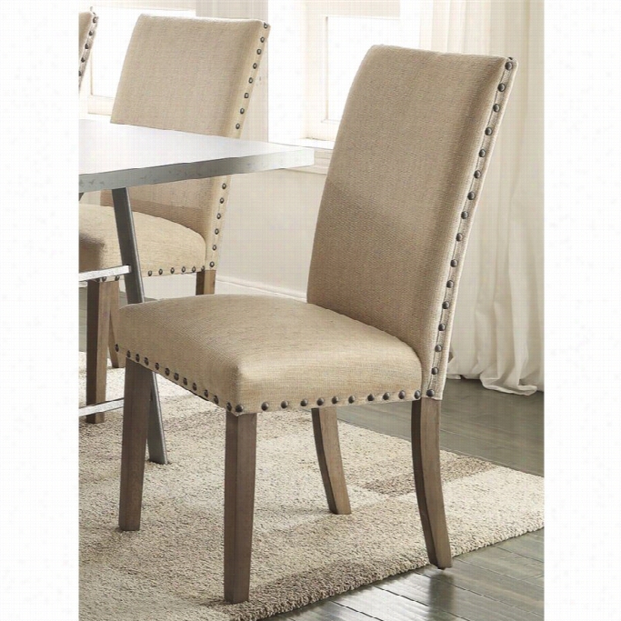 Coasteer Webber Transitional Style Dining Chair I Nbeige