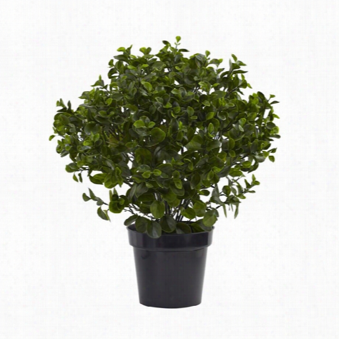 Nearly Natural 28 Peperomia Plant Uv Resistant (indoor-outdoor)