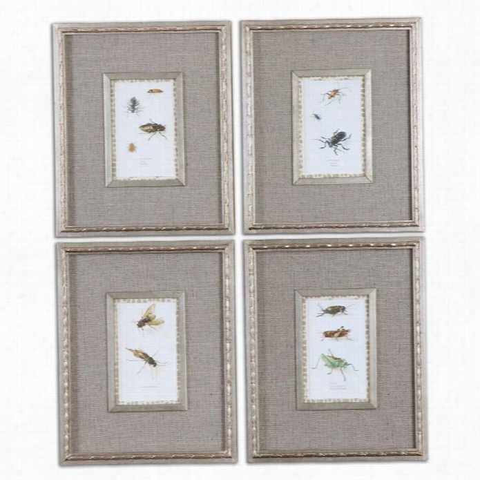 Uttermost Insect Study Framed  Art (set Of 4)