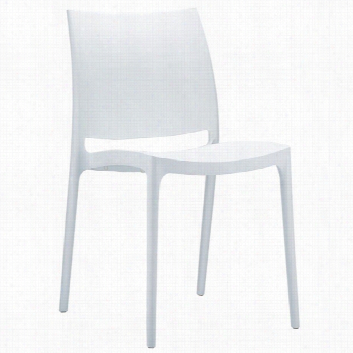 Compamia Maya Dining Chair In White