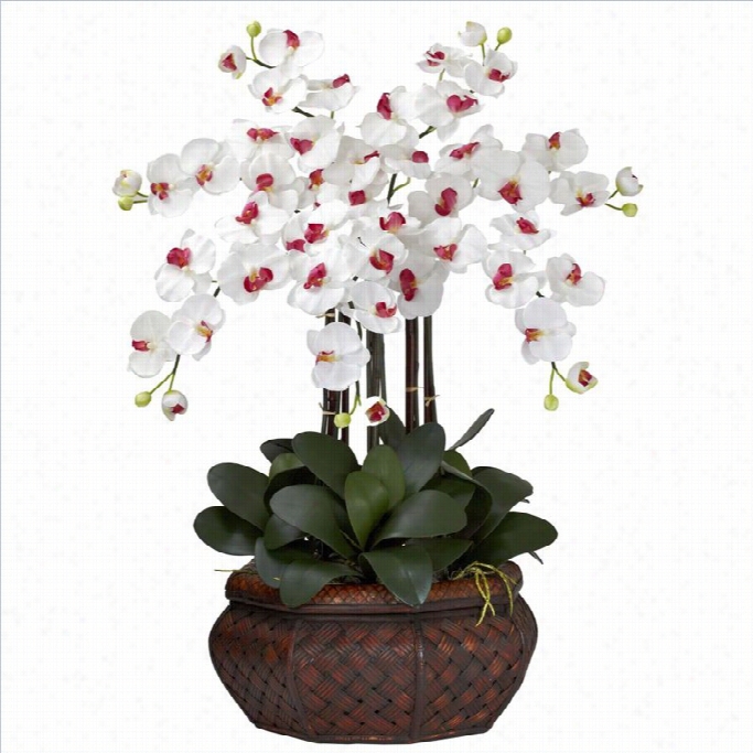 Nearly Natural Larg Phalaenopsis Silk Flower Arrangement In White