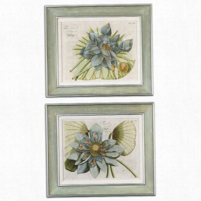 Uttermost Blue Lottus Flower Frame Ar (set Of 2)