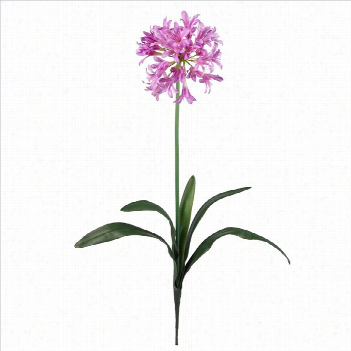 Nearoy Natural 29 African Lily Stem In Pink (set Of 12)