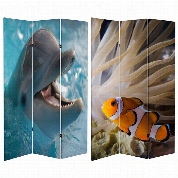 Oriental Dolphin And Clownfish Room Divider