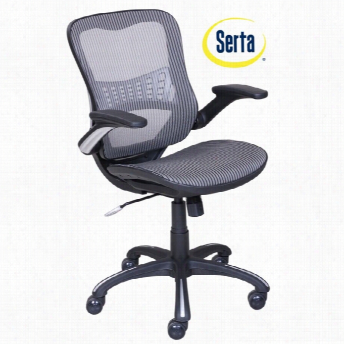 Serta At Home Fusion Ergonomic Anager Mesh Office Chai In Silver