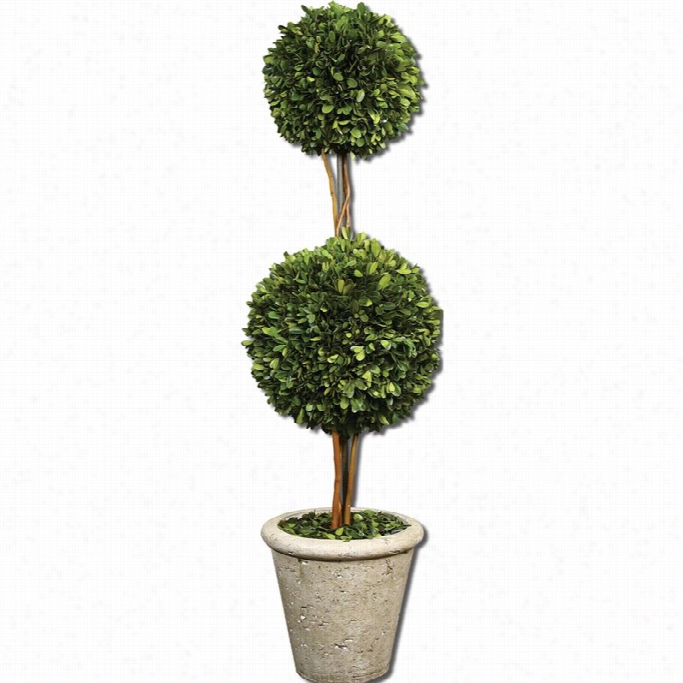 Uttetmost Twk Sphere Topiary Preserved Boxwood In Ntaural Evergree N