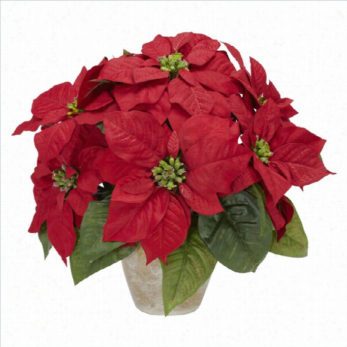 Narly Natural Poinsettia Withceramic  Vase Silkf Lower Arrangement In Red