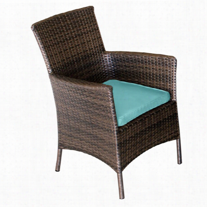 Tkc Sonoma Wicker Patio Arm Dniing Chairs In Aruba (set Of 2)