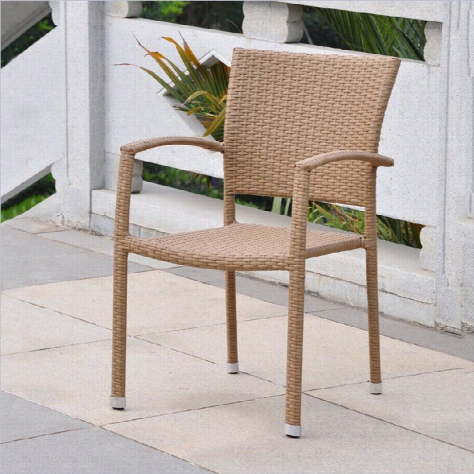 International Caravan Barcelona Resi N Wiccker/aluminum Patio Dining Chair (embarrass Of 2)