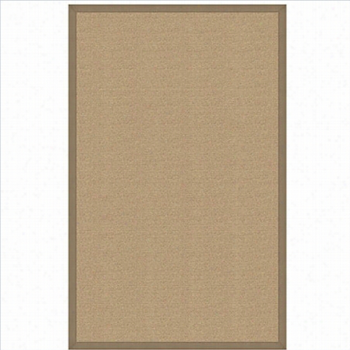 Linon Athena Cotgon Rug In Sisal And Beige-4' X 6'
