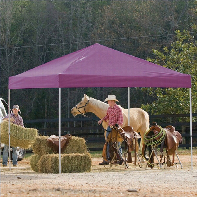Shelterlogic 12'x12' Pro Pop-up Canopy Straight Leg With Cover In Purpl E