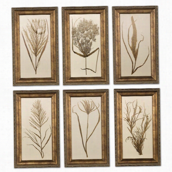 Uttermost  Whrat Grass Framed Art (ste Of 6)