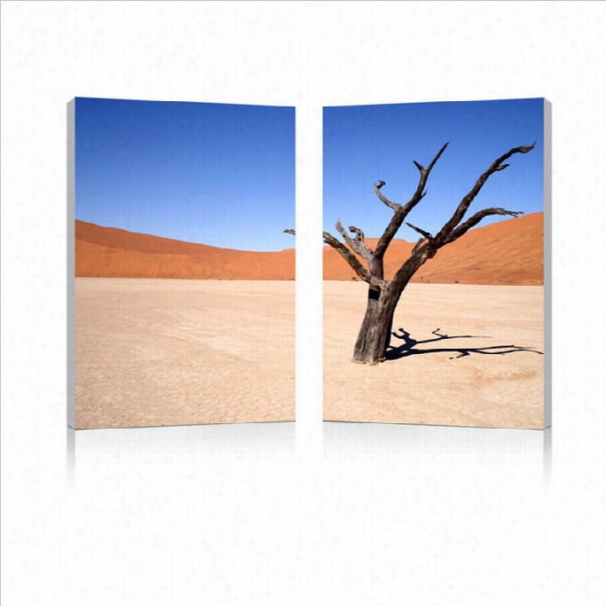 Baxton Stuido Desert Solitude Mounted Print Diptych In Multicolor