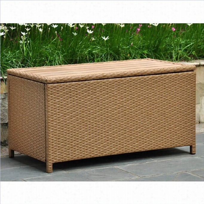 International Caravan Barcelona Coffee Table & Storage In Honey