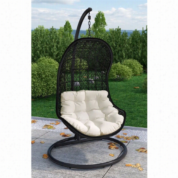 Modway Parlay Patio Swing Chair In Espresso And White