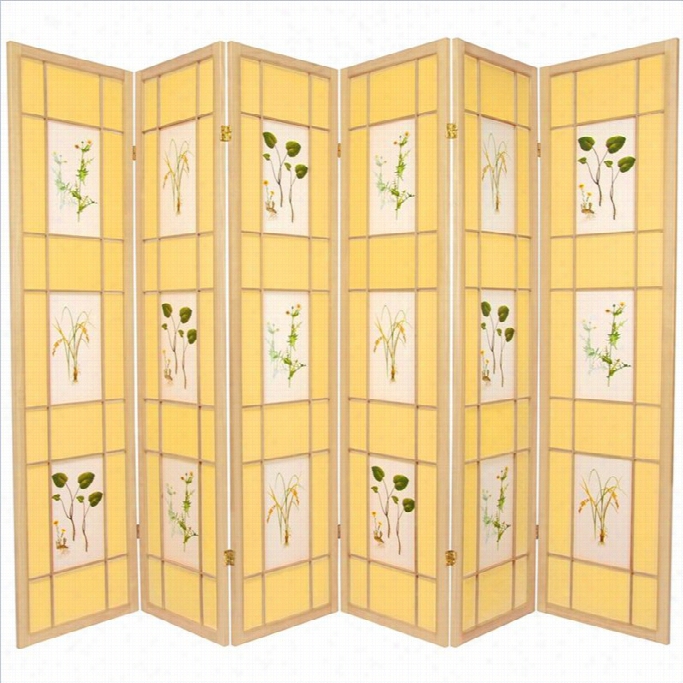 Oriental Furniture 6 ' Tall Shoji Screen In Natural