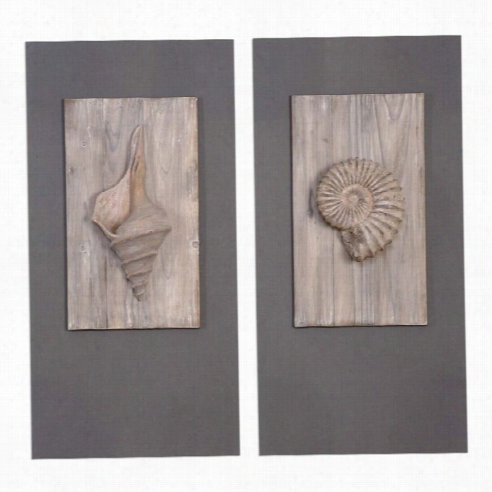 Uttermost Shell Sculpturea R (set Of 2)