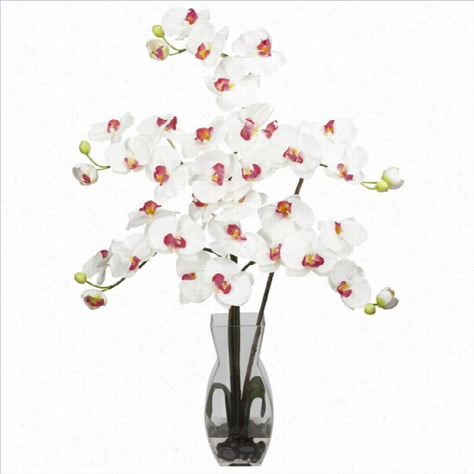 Nearly Natural Phalaenopsis  With Vase Silk Flowed Arranegment In White