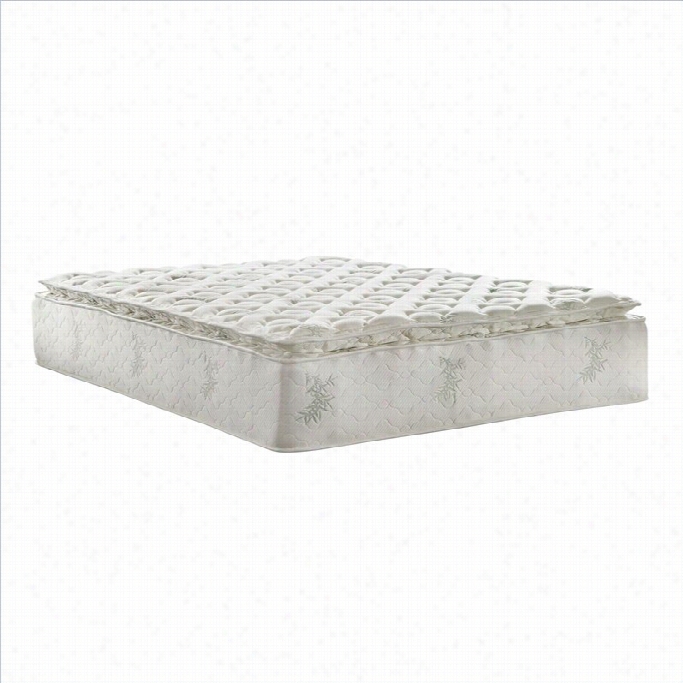 Signature Sleep 13 In Ch Full Independently Encased Coil Mattress