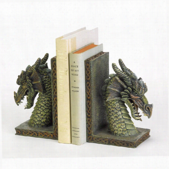 Zingz And Thingz Fierce Dragon Bookneds