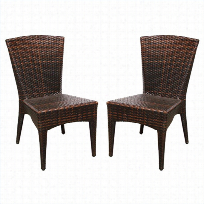 Safavieh Unaccustomed Castle Wicker Side Chairin Brown (set Of 2)