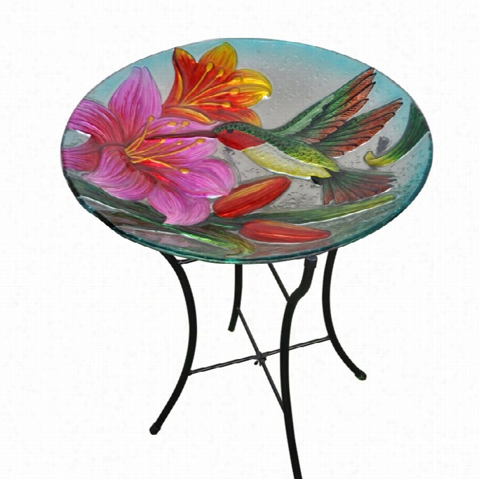 Te Amson Peaktpo Hummingbird Glass Bird Bath