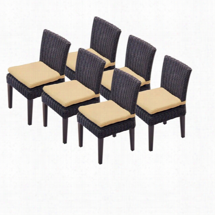 Tkc Venice Wicker Patio Dining Chiars In Ssesame (set Of 6)