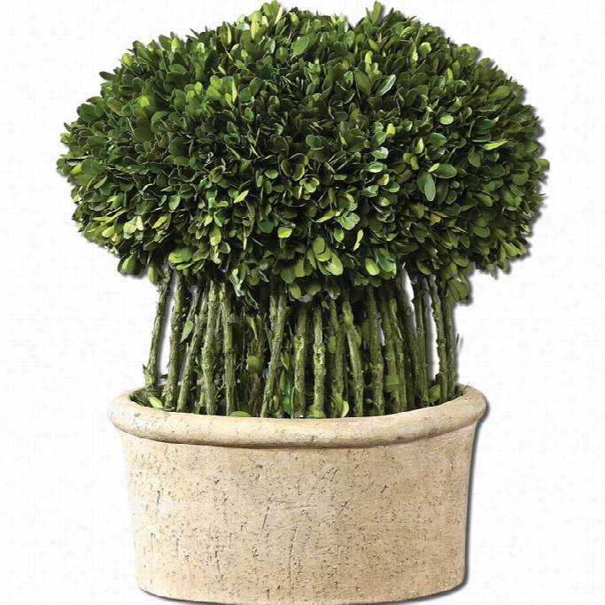 Uttermost Willow Topiary Preserved Boxwood With Planter In Msosg Stone