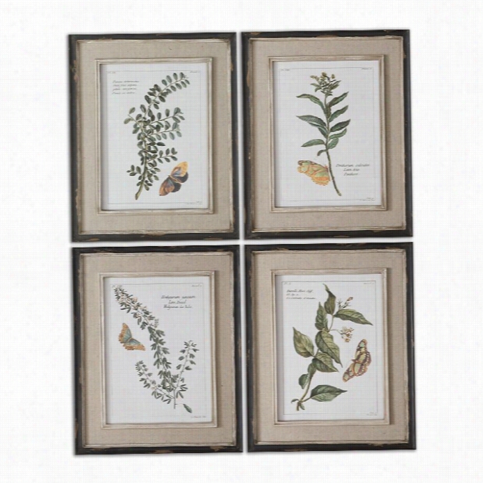 Uttermost Butterfly Plants Framed Skill In Distressed Black (set Of 4)