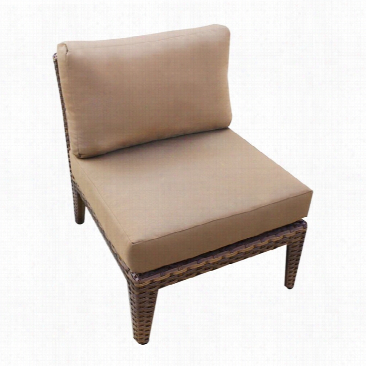 Tkc Manhatttan Outdoor Wicker Chair In Wheat