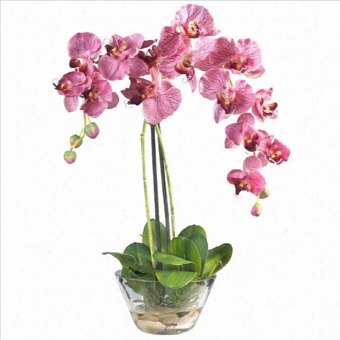 Nearly  Natural Phalaenopsis With Glass Vase Silk Flower Arrangemnet In Purple