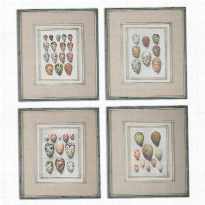 Extreme Study Of Eggs Framed Art In Distressed Aqua (set Of 4)