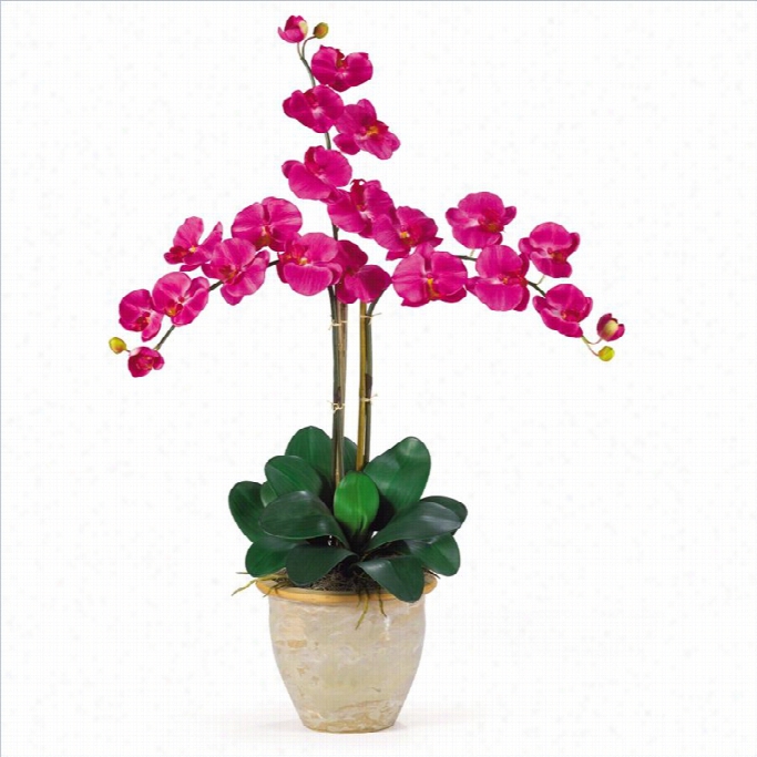 Nearly Natural Triple Phalaenopsis Sil Korhcid  Ffllower Arrabfement