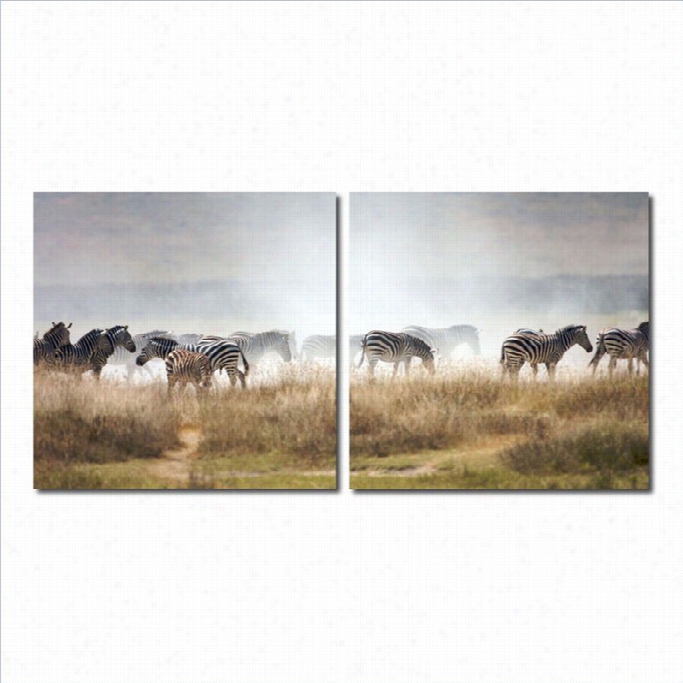 Baxton Studio A Zeal Of Zebras Mounred Print Diptych In Multicolor