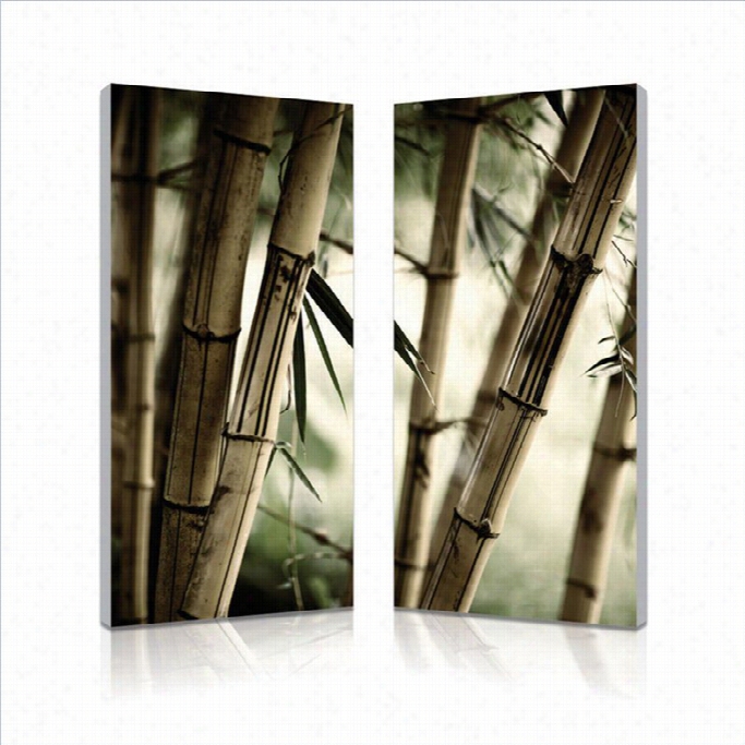 Baxton Stdio Bamboo Stalks Mounted Print Diptych In Multicolor