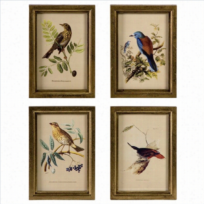 Imax Corpor Ation Wooden Bird Plaqques (set Of 4)