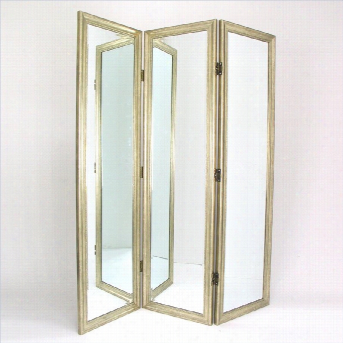 Wayborn Mirror With Frame Full Bigness Dressing Room Divider In Silver