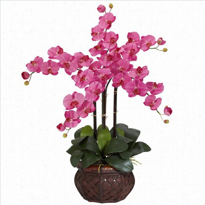 Neraly Original Phalaenopsis With Decorative Vase Silk Flower Arranemnet In Dark Pink