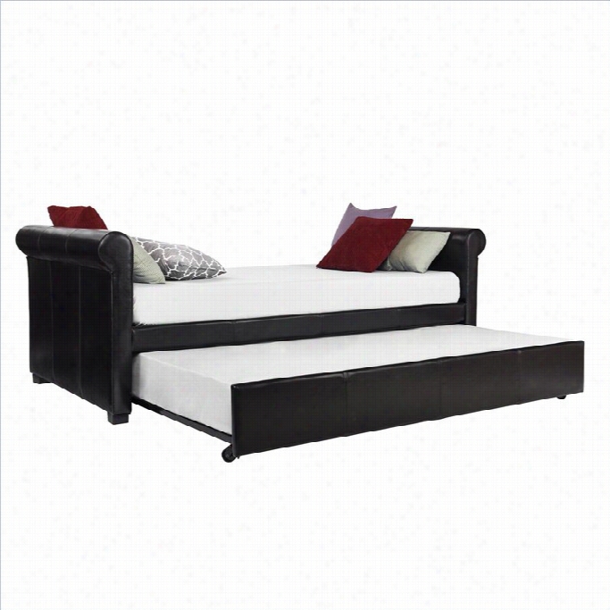 Ameriwood Giada Leather Uphosltered Twin Daybed By The Side Of Trun Dle In Brown